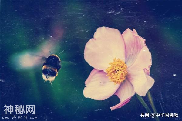 适合晚上发的心灵鸡汤小句子，句句正能量，你最喜欢哪条？-1.jpg
