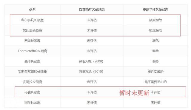 又一个濒临灭绝，马赛长颈鹿30年或下降50%，拯救生物为时不晚？-3.jpg