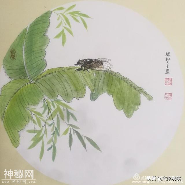 开封天王一个画蝉的奇人-13.jpg