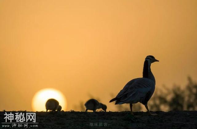 自驾11天穿越河西走廊，赶赴一场人文与自然的双重盛宴-44.jpg