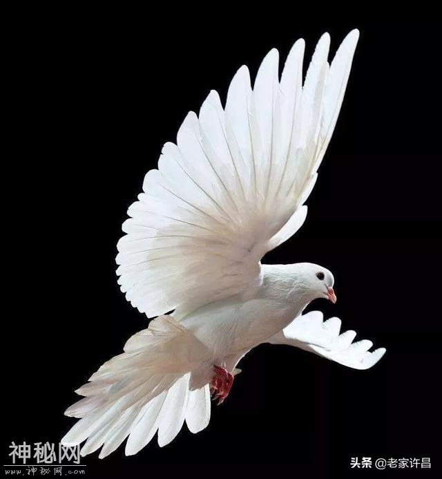 襄城奇人奇事：去世十年仍显灵？-2.jpg