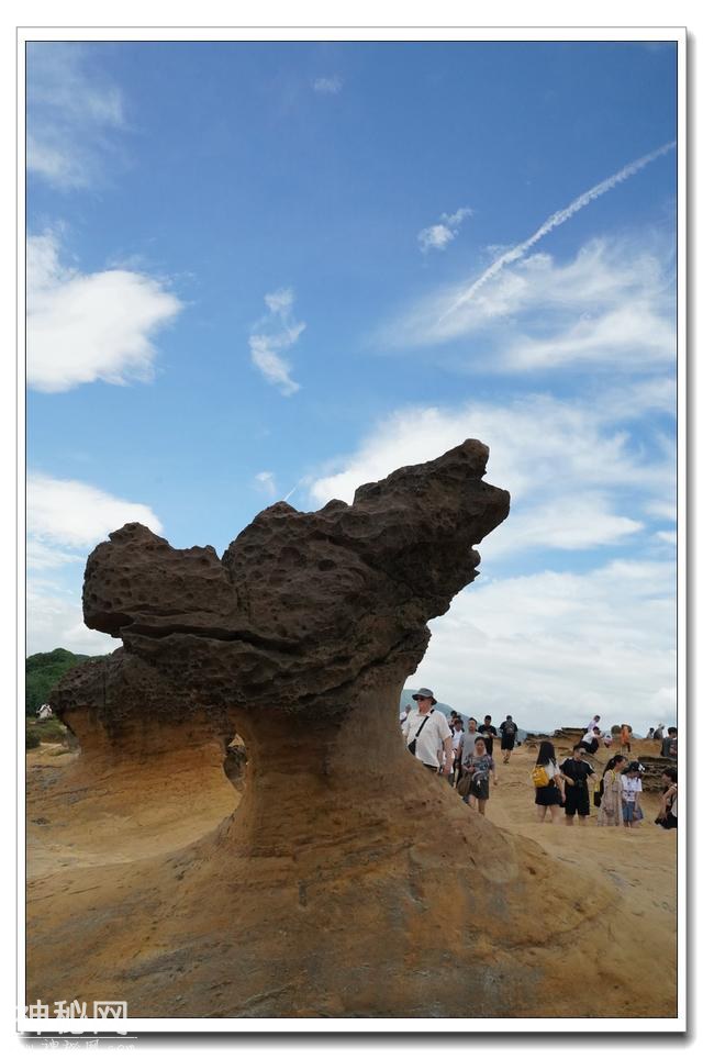 （夏云） 台湾见闻之五——野柳公园：鬼斧神工地质地貌-32.jpg