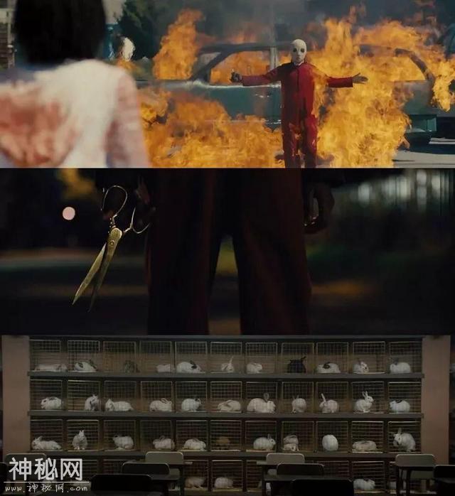 今年顶级恐怖片多到不得了-5.jpg