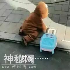 现实扎心、幽默诙谐的毒鸡汤语录-1.jpg