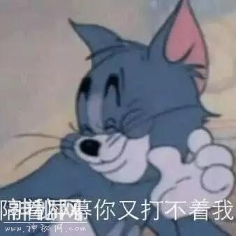 现实扎心、幽默诙谐的毒鸡汤语录-4.jpg