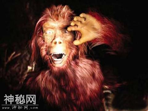 探索未知生物：神农架野人是一个编织的谎言吗？-3.jpg