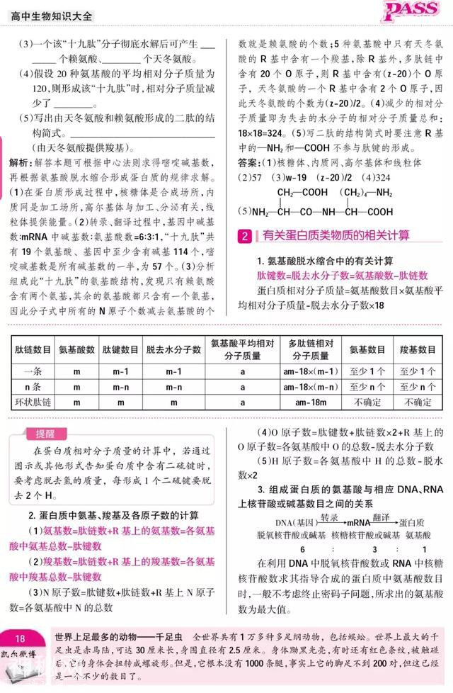 暑期预科——高中生物·必修1"组成细胞的分子"附重点难点-9.jpg
