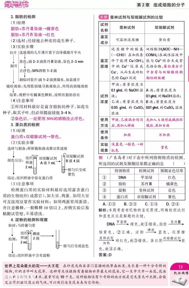 暑期预科——高中生物·必修1"组成细胞的分子"附重点难点-4.jpg