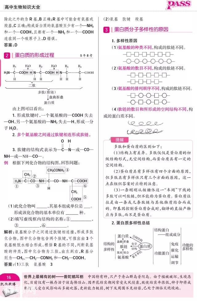 暑期预科——高中生物·必修1"组成细胞的分子"附重点难点-7.jpg