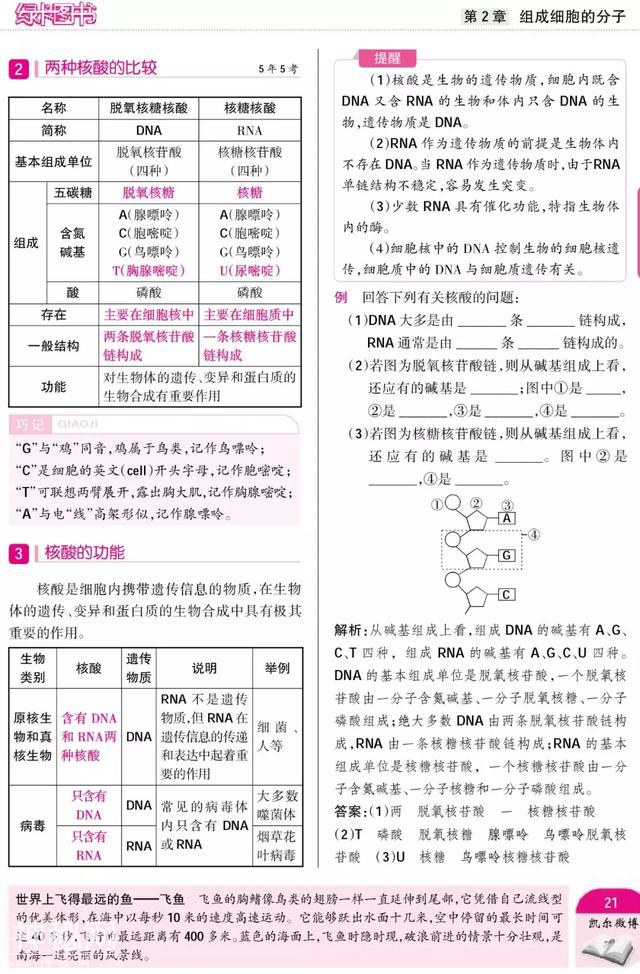 暑期预科——高中生物·必修1"组成细胞的分子"附重点难点-13.jpg