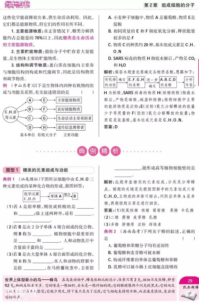 暑期预科——高中生物·必修1"组成细胞的分子"附重点难点-21.jpg