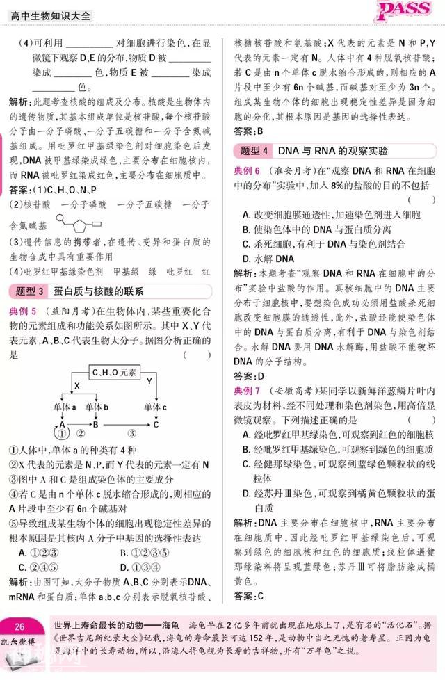 暑期预科——高中生物·必修1"组成细胞的分子"附重点难点-18.jpg