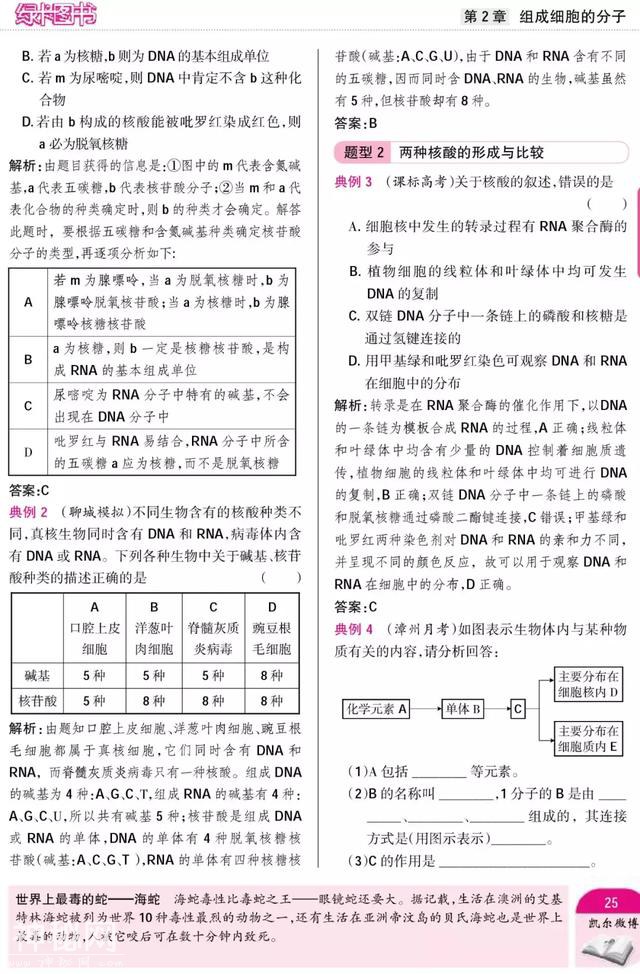 暑期预科——高中生物·必修1"组成细胞的分子"附重点难点-17.jpg