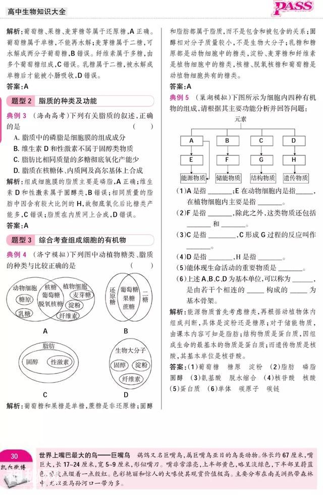 暑期预科——高中生物·必修1"组成细胞的分子"附重点难点-22.jpg