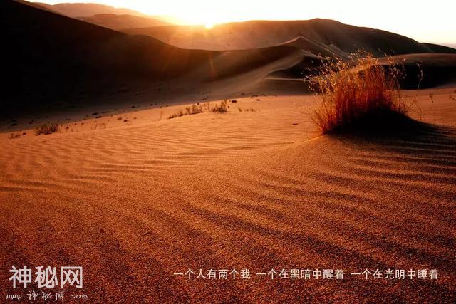 穿越七千公里，只为和你说句悄悄话——地球之耳“罗布泊”-9.jpg