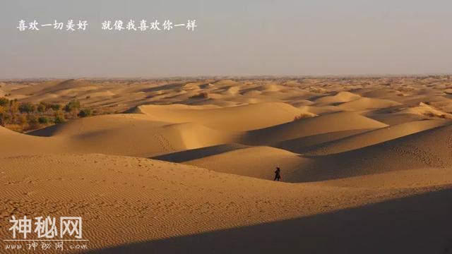 穿越七千公里，只为和你说句悄悄话——地球之耳“罗布泊”-22.jpg