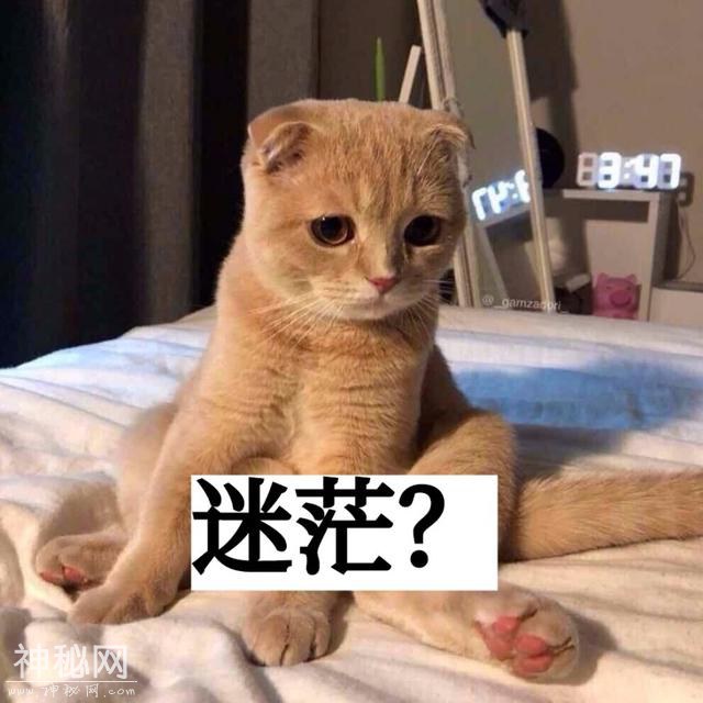 漫威首位华裔英雄，最终将花落谁家？-13.jpg