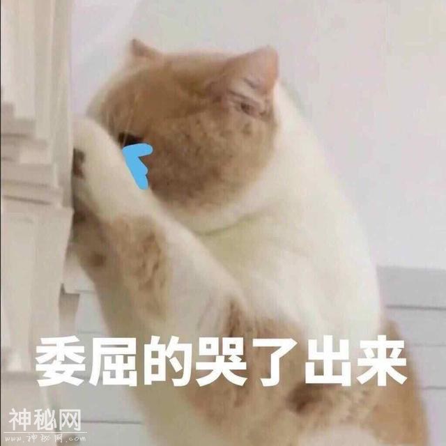 漫威首位华裔英雄，最终将花落谁家？-12.jpg