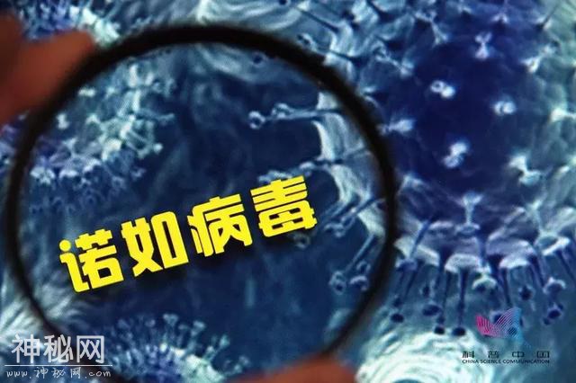 北京多人感染这种病毒！尚无特效药、传染快、无疫苗…-3.jpg