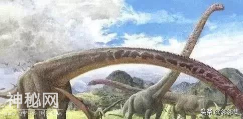 地球上可能存在的最大生物是什么？若是活到现在就没你什么事了-3.jpg