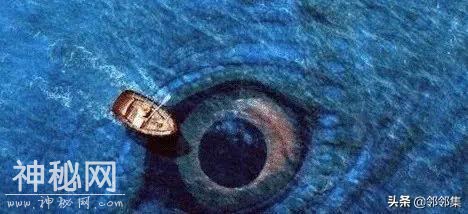 地球上可能存在的最大生物是什么？若是活到现在就没你什么事了-1.jpg