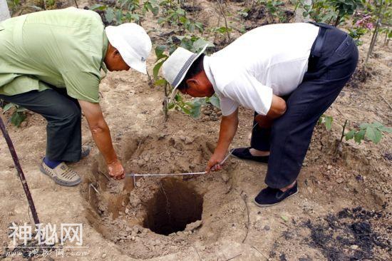 战国一古墓被发现，9个盗洞下是50多具尸骸，专家：庆幸活着出来-1.jpg
