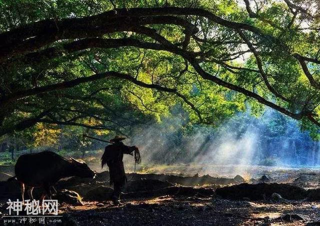 原来道教是这样：这些年你对道教的误读有多少？-6.jpg