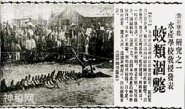 长白山天池水怪究竟为何物？一百年来，有谁真正见过水怪？-5.jpg