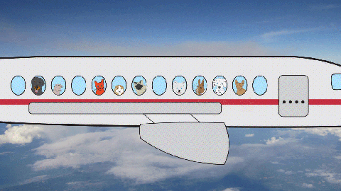 2019年世界上最棒的20家航空公司-1.jpg
