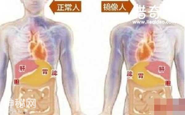 新疆罗布泊怪事，镜像人-3.jpg