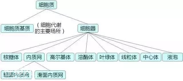 高中生物丨细胞核心知识点大全，图文解释超详细-1.jpg