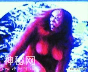 神农架野人栖息地终于找到了，原来在这-4.jpg