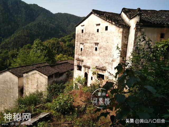 歙县这个小山村，是徽州贡菊原产地，却因为地质灾害整体搬迁-8.jpg