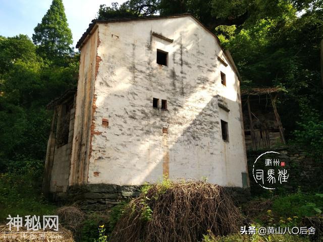 歙县这个小山村，是徽州贡菊原产地，却因为地质灾害整体搬迁-5.jpg