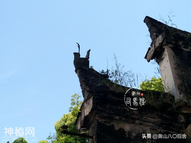 歙县这个小山村，是徽州贡菊原产地，却因为地质灾害整体搬迁-23.jpg