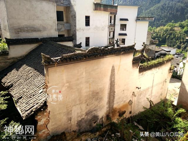 歙县这个小山村，是徽州贡菊原产地，却因为地质灾害整体搬迁-25.jpg