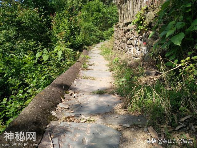 歙县这个小山村，是徽州贡菊原产地，却因为地质灾害整体搬迁-17.jpg