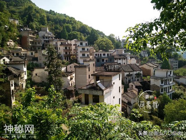 歙县这个小山村，是徽州贡菊原产地，却因为地质灾害整体搬迁-20.jpg