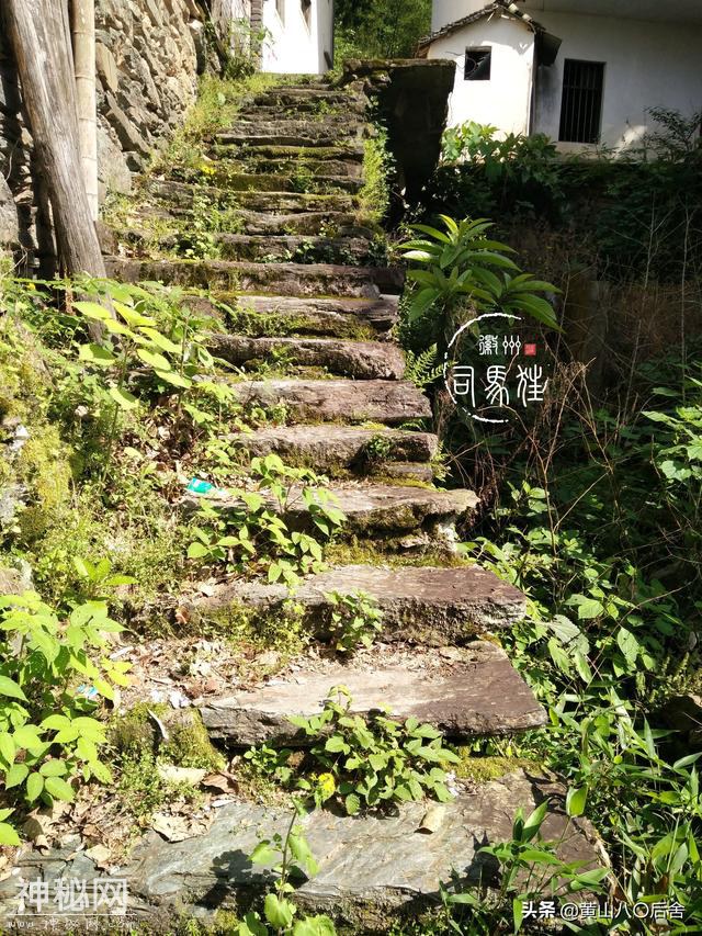 歙县这个小山村，是徽州贡菊原产地，却因为地质灾害整体搬迁-18.jpg