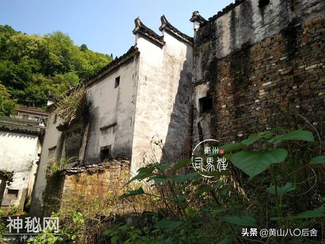 歙县这个小山村，是徽州贡菊原产地，却因为地质灾害整体搬迁-29.jpg