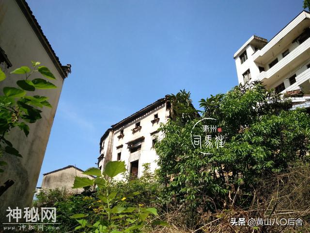 歙县这个小山村，是徽州贡菊原产地，却因为地质灾害整体搬迁-27.jpg