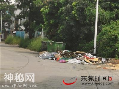 东莞开展“洁净城市”专项行动，记者走访樟木头发现“牛皮癣”随处可见-1.jpg