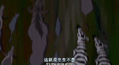 真兽版「狮子王」，特效炸裂还是“动物世界”？-2.jpg