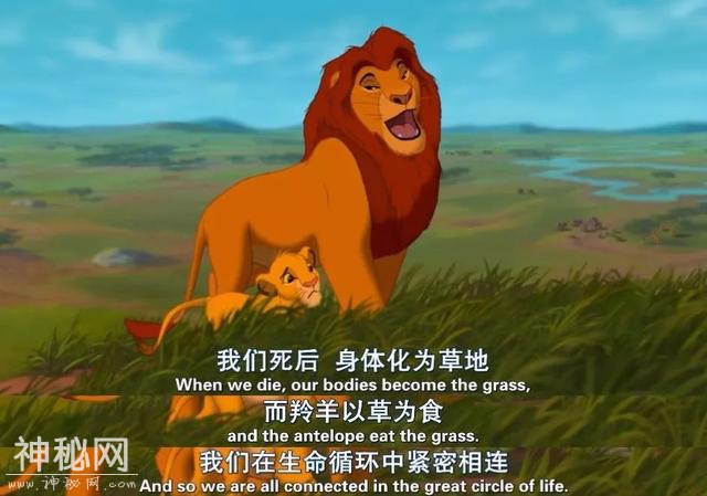 真兽版「狮子王」，特效炸裂还是“动物世界”？-6.jpg