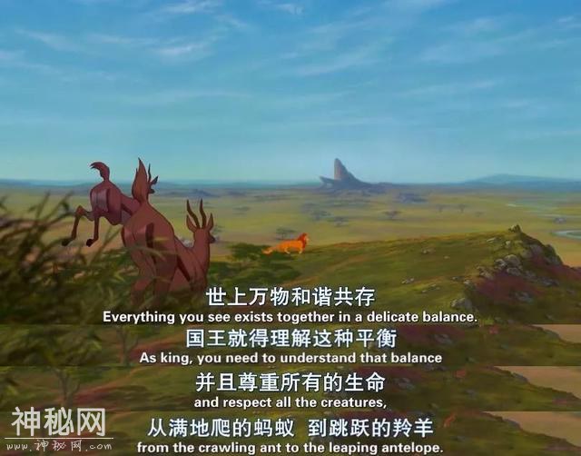 真兽版「狮子王」，特效炸裂还是“动物世界”？-5.jpg