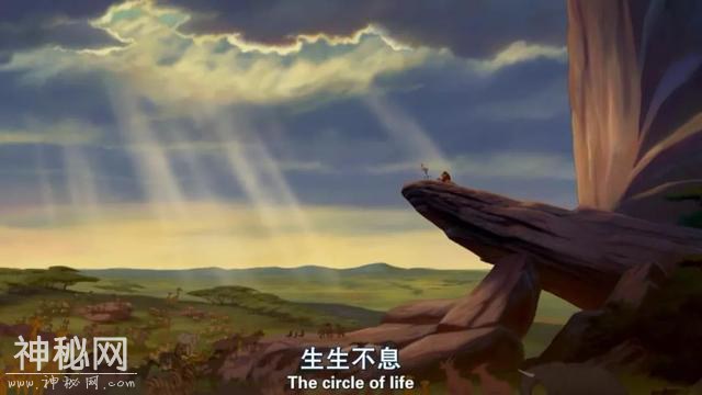 真兽版「狮子王」，特效炸裂还是“动物世界”？-3.jpg