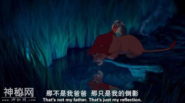真兽版「狮子王」，特效炸裂还是“动物世界”？-33.jpg