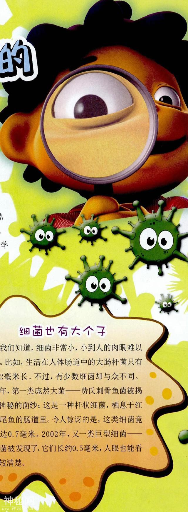 你不知道的细菌-3.jpg