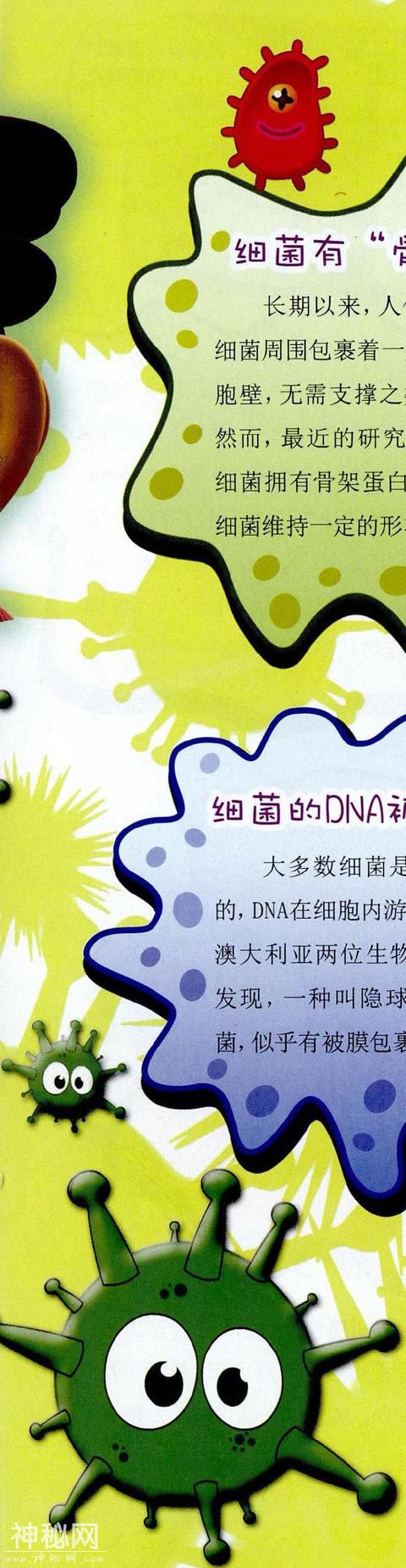 你不知道的细菌-4.jpg