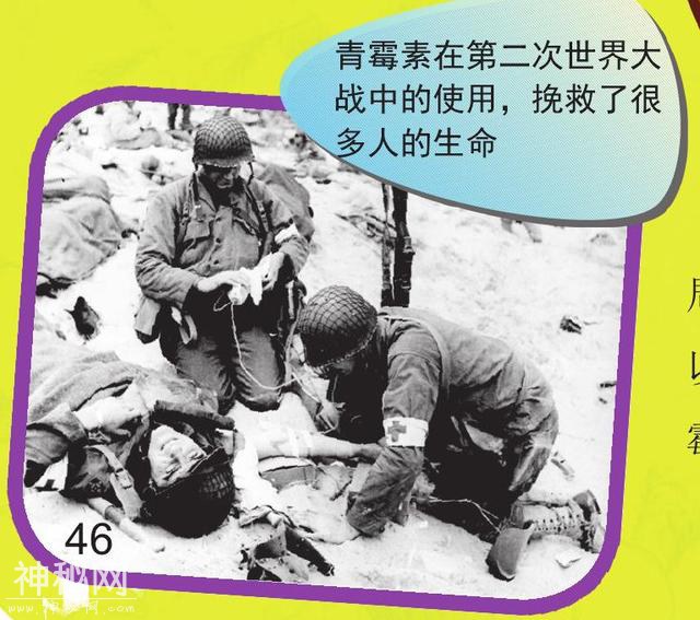 你不知道的细菌-8.jpg